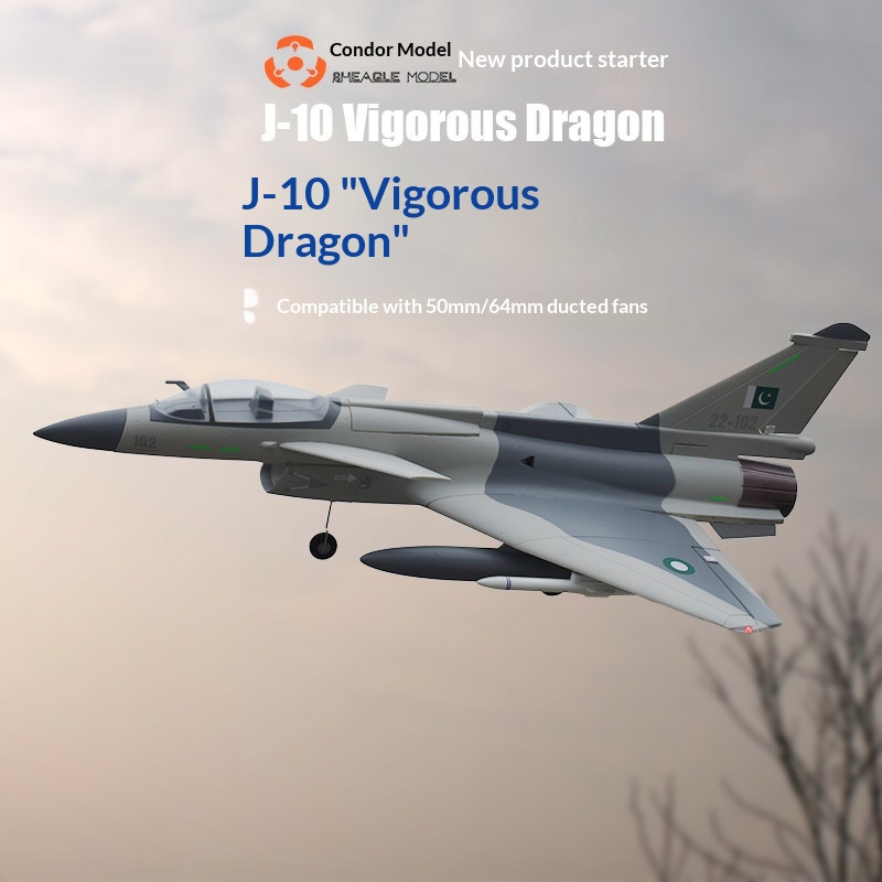 SH-EAGLE MODEL J-10 Vigorous D - Yunshen Rc Hobby บทวิจารณ์และราคา